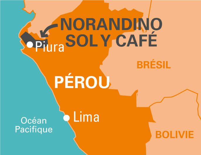 Carte coopÃ©ratives Norandino Sol y Cafe au PÃ©rou - Chocolat noir dessert 65%